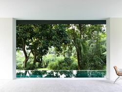 King Albert Park (D21), Detached #528746801